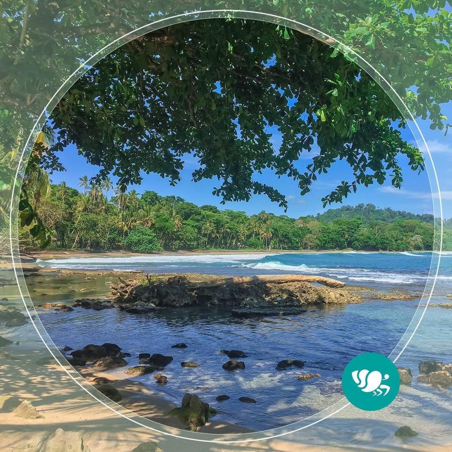 Villas Del Caribe Puerto Viejo de Talamanca Екстериор снимка