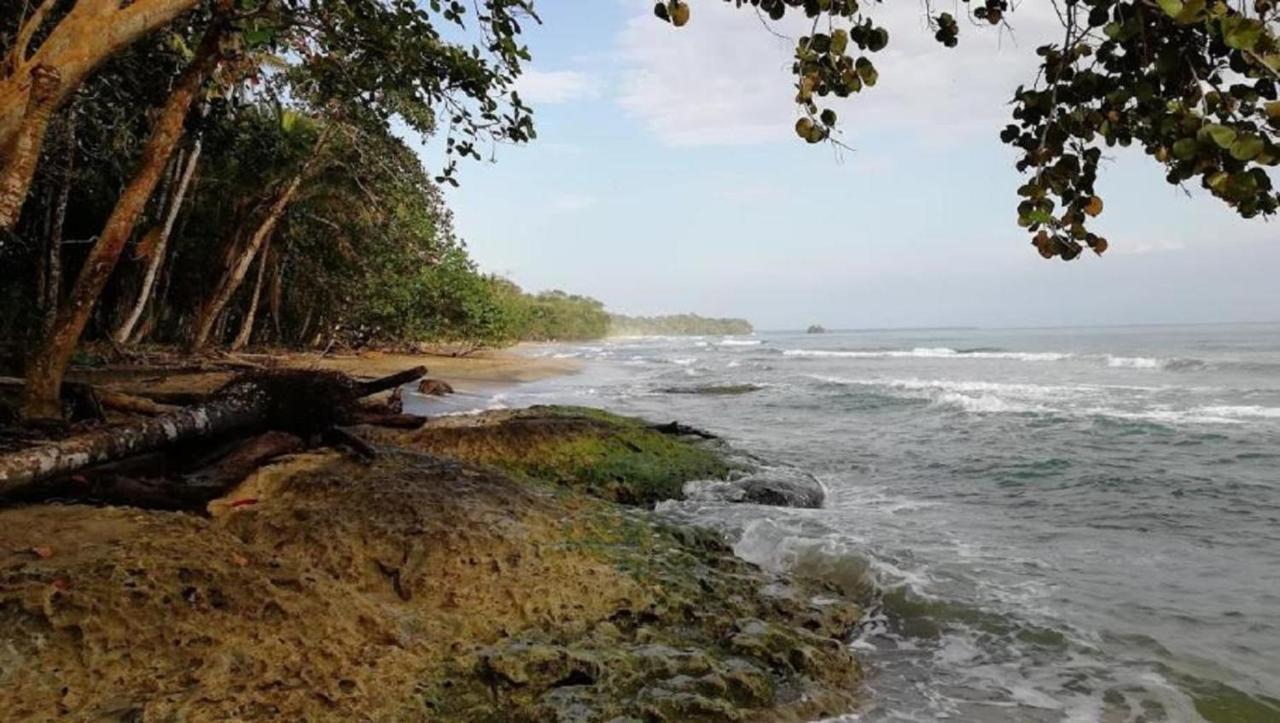 Villas Del Caribe Puerto Viejo de Talamanca Екстериор снимка
