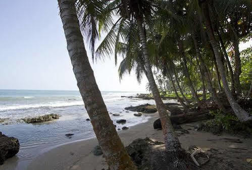 Villas Del Caribe Puerto Viejo de Talamanca Екстериор снимка